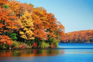 Falls Lake Raleigh North Carolina