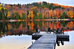 Fall in Raleigh North Carolina